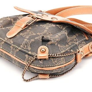 Grey Triomphe Canvas Crossbody Bag