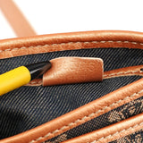 Grey Triomphe Canvas Crossbody Bag