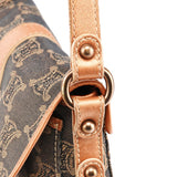 Grey Triomphe Canvas Crossbody Bag