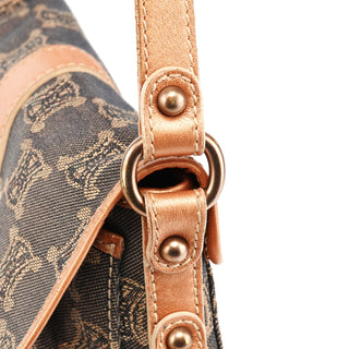 Grey Triomphe Canvas Crossbody Bag