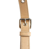 Celine Beige Calfskin Leather Pillow 2-Way Bag
