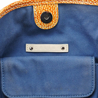 Celine Beige Triomphe Bittersweet Bag