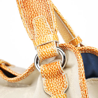 Celine Beige Triomphe Bittersweet Bag