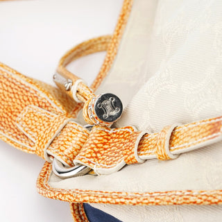 Celine Beige Triomphe Bittersweet Bag