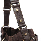 Celine Brown Canvas Leather Shoulder Bag
