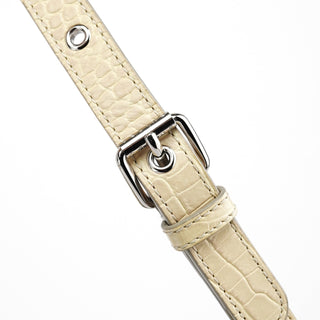 Celine Gradient Monogram Denim Pillow 2-Way Bag