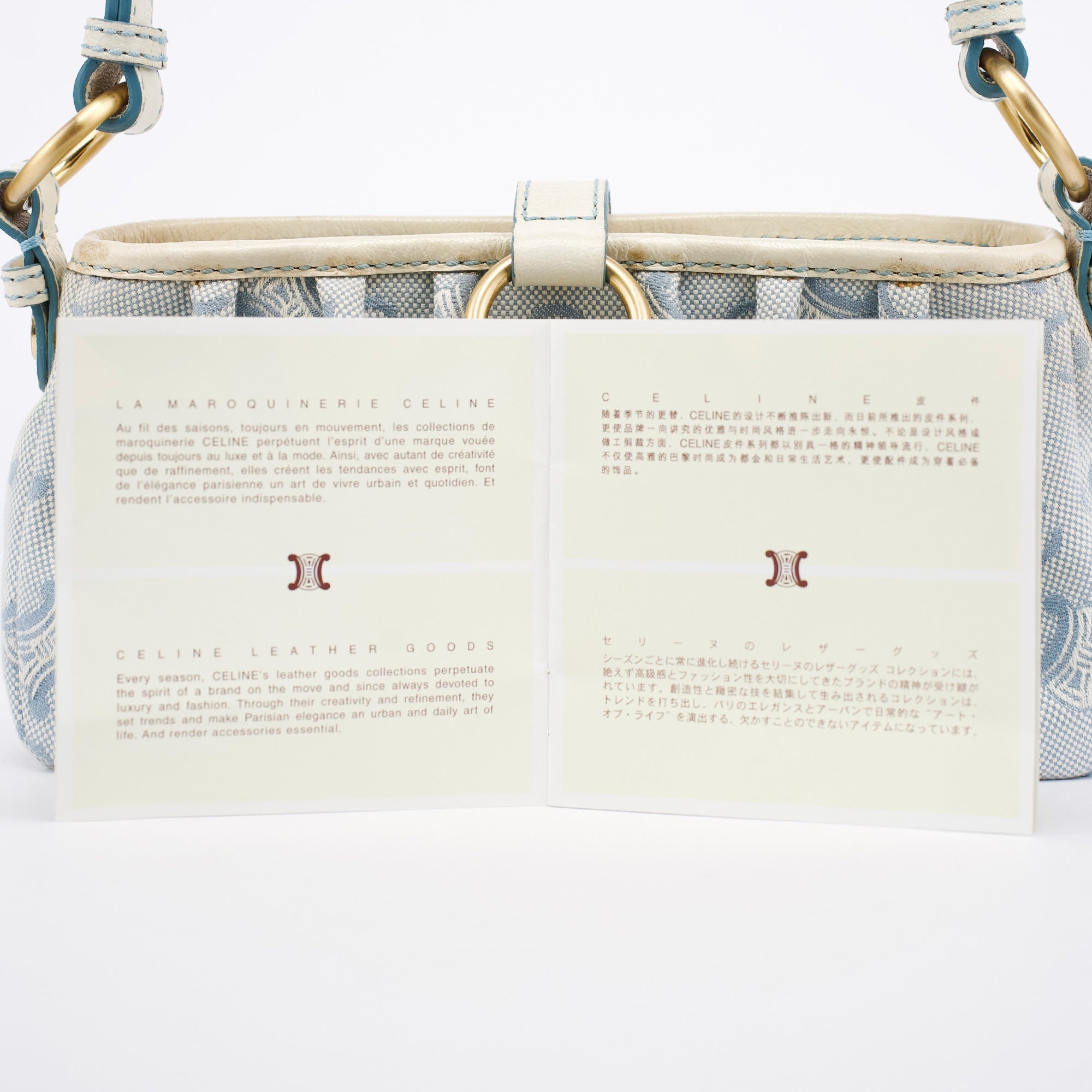 Celine Light Blue Triomphe Mini Hobo Bag