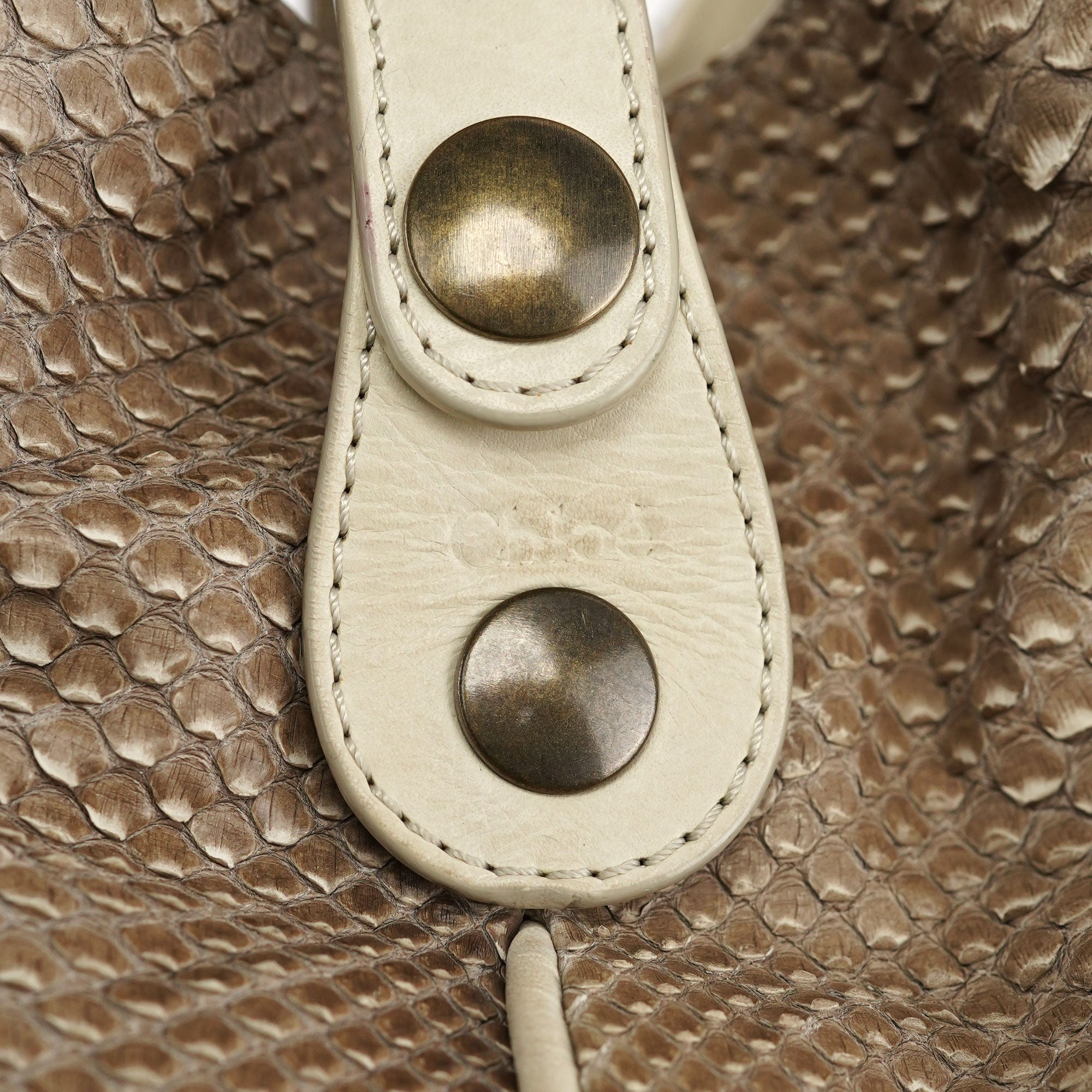 Chloé Beige Small Python Silverado Bag