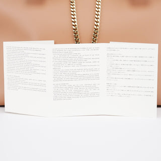 Chloé Coral Pink Leather Baily 2-Way Bag