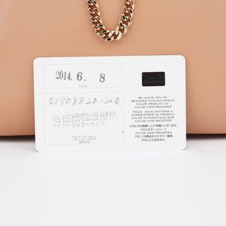 Chloé Coral Pink Leather Baily 2-Way Bag