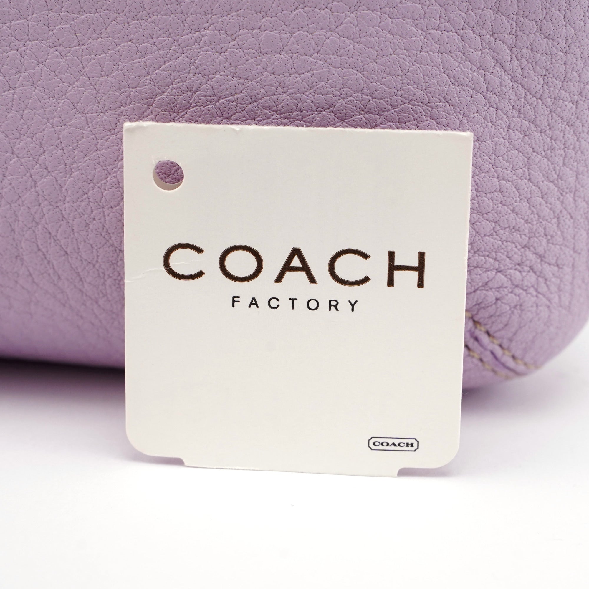 Coach Mini borsa hobo in pelle lilla