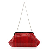 Dolce & Gabbana Red Python Chain Clutch Bag