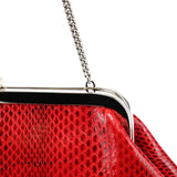 Dolce & Gabbana Red Python Chain Clutch Bag