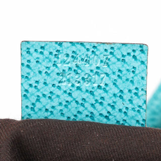 Gucci 124407 Beige Turquoise GG Jackie Shoulder Bag