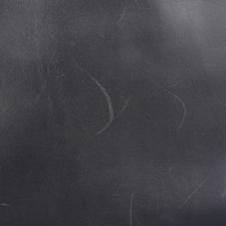 Prada 1998 Black Calfskin Acetate Shoulder Bag